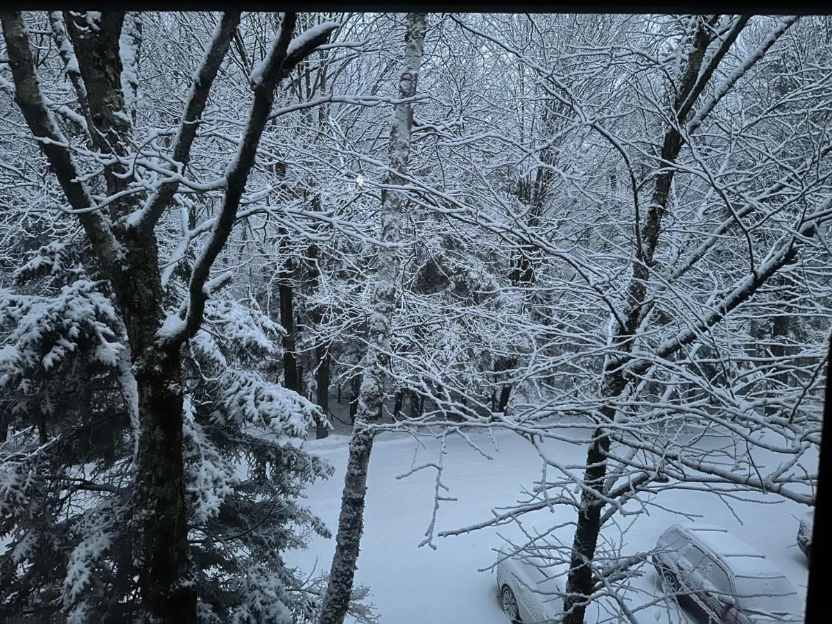 Vermont Getaway! Newly Renovated! Stratton Valley المظهر الخارجي الصورة